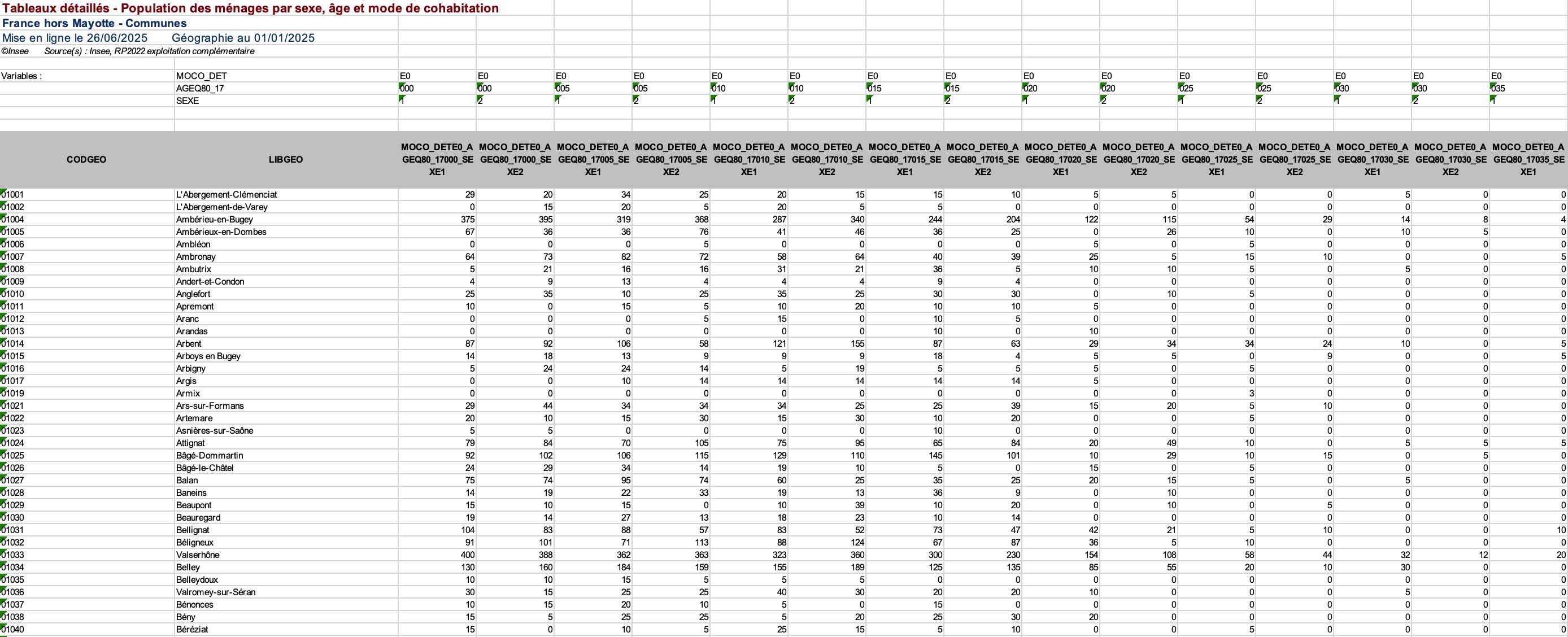 Données brutes en tableau Excel